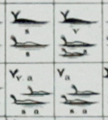 Matthew Maury's 3rd edition chart of whale sightings.