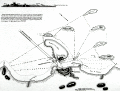 Plan of the walled city of Vera Cruz, Mexico by von Humboldt