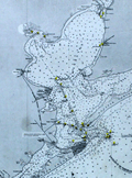 A fine early 20th-century British Admiralty chart of Galveston.