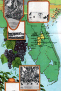 Map of Lake County, Florida