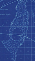 Cyanotype (blueprint) plat map near Hastings, Florida.