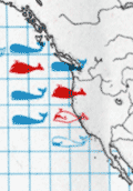 Map of worldwide catches of sperm and baleen whales in 1970.