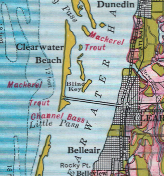 Detail from Pinellas County Map.