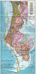 Lithographed map of Pinellas County, Florida  by Weston, 1919.