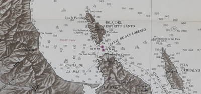 Very large original U. S. Navy chart of the Baja Peninsula and the Gulf of California, 1964