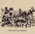  World map "Tobacco" published by John Player and Sons, 1938