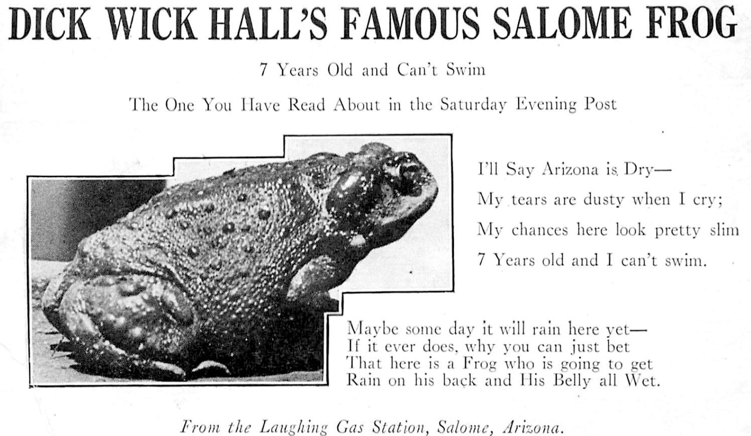 Dick Wick Hall's Famous Salome Frog.