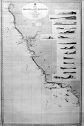 Sea chart of the California coast From Humboldt Bay to San Diego